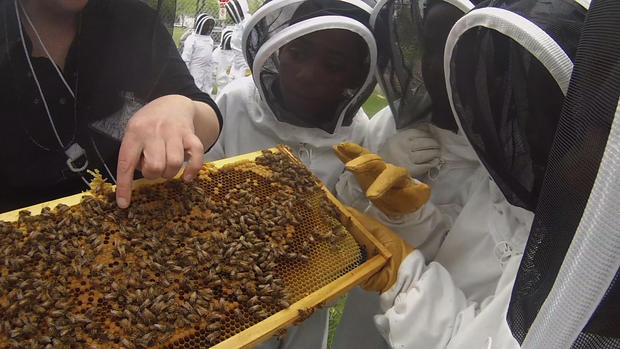 Student beekeepers 