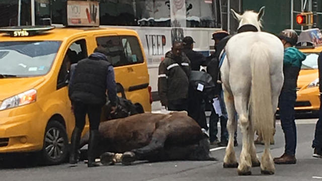 170515-cbs-new-york-horse-collapse.jpg 