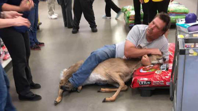 walmart-deer-from-stephanie-kolijonen.jpg 