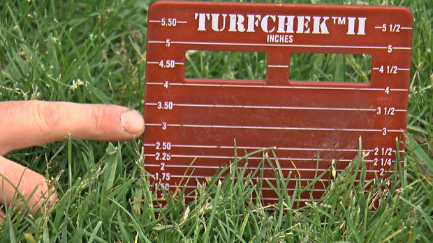 Grass Measure 