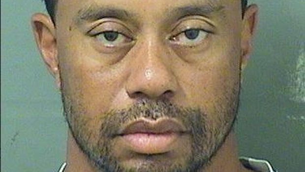 Tiger Woods booking photo 