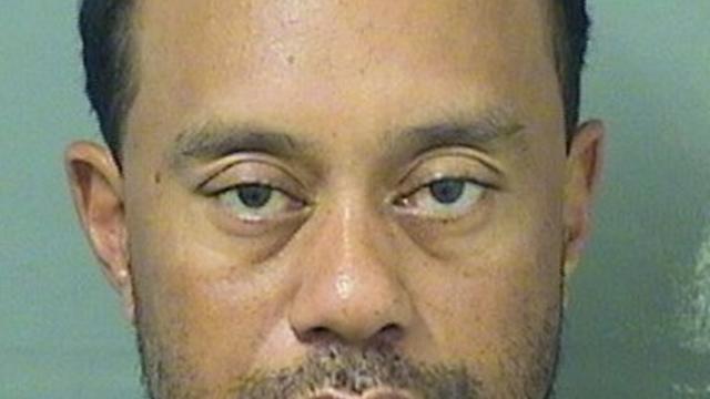 tiger-woods-booking-photo-palm-beach-county-sheriff.jpg 