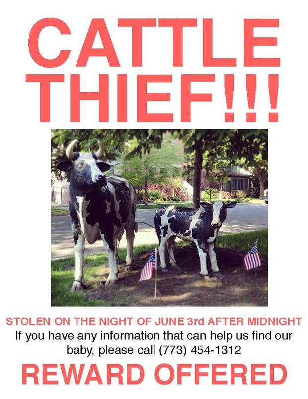 Cow Thief 2 