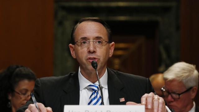 Deputy U.S. Attorney General Rod Rosenstein testifies about the Justice Department's budget before a subcommittee hearing of the Senate Appropriations Committee on Capitol Hill in Washington June 13, 2017. 