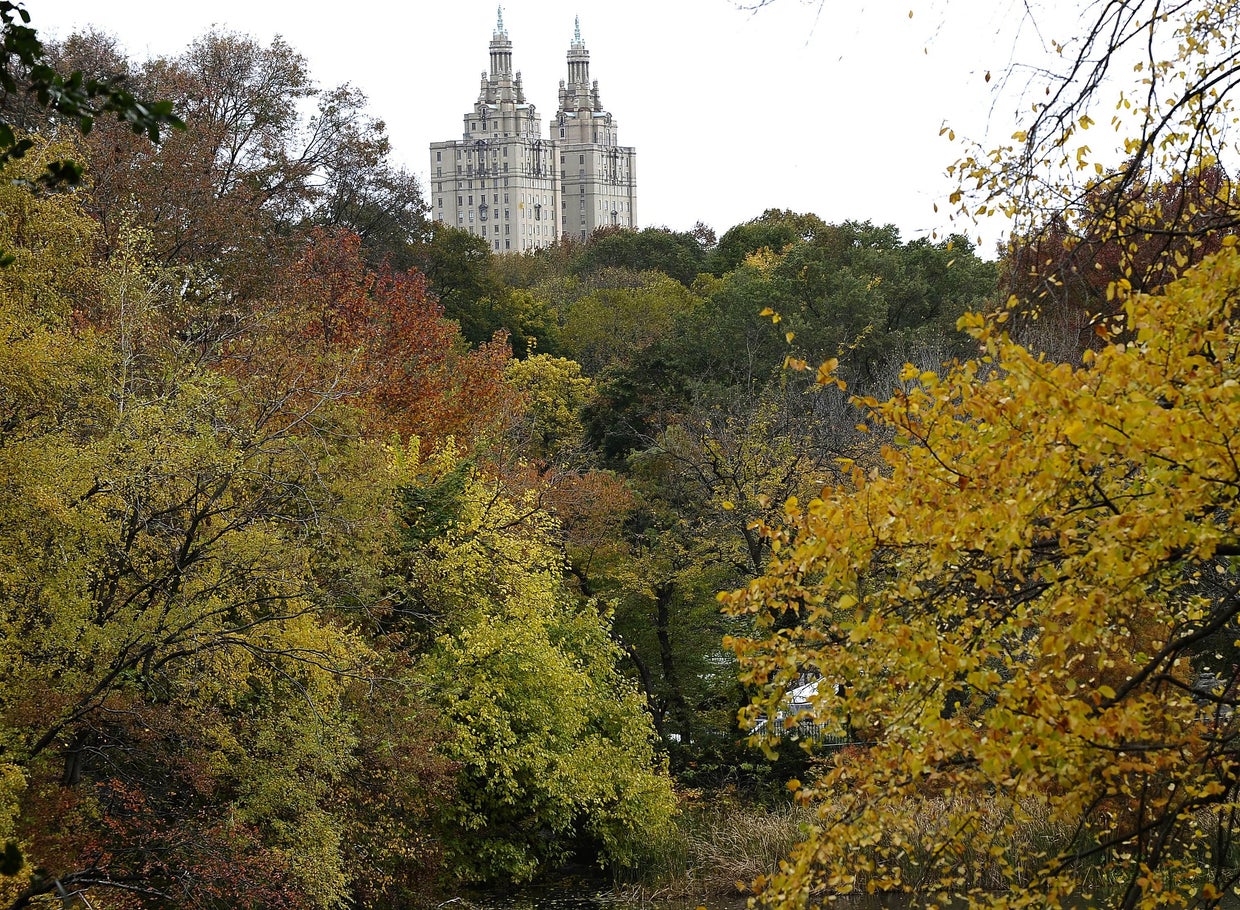 central park new york 8k