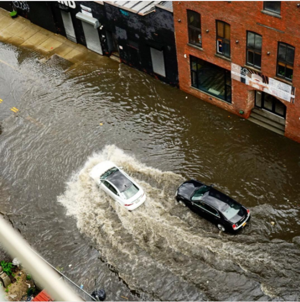 Gowanus Flooding 