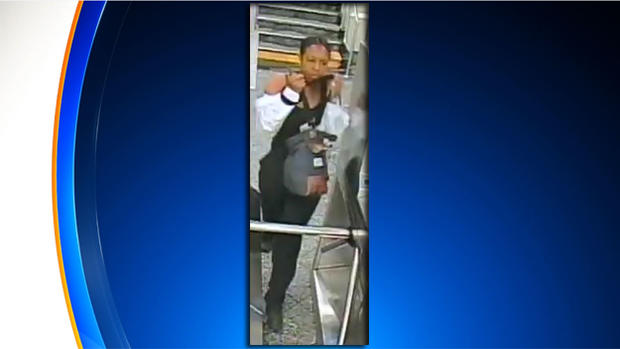 Bronx Subway Slashing Suspect 
