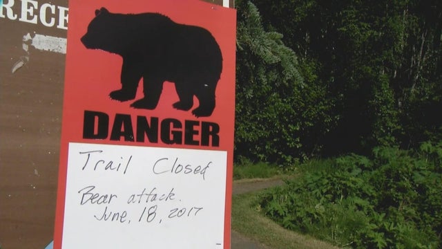 bear-attack-danger-sign.jpg 
