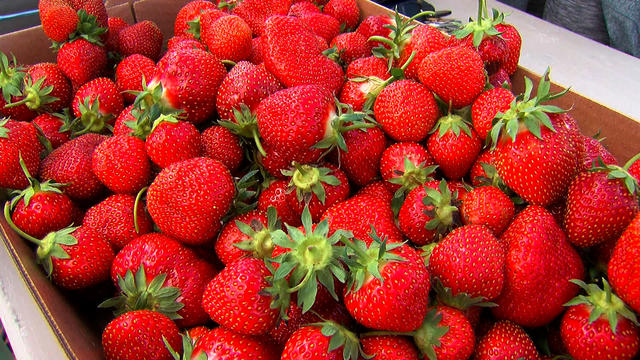 strawberries.jpg 