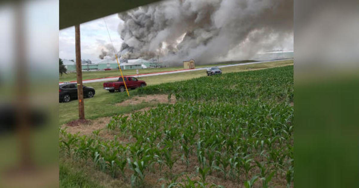 More than 100,000 chickens killed in egg farm fire, authorities say