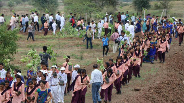 Volunteers help plant trees in India's Madhya Pradesh state on July 2, 2017. 