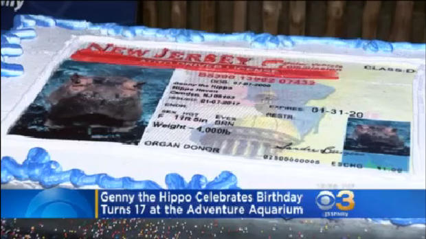 genny the hippo 17th birthday cake 