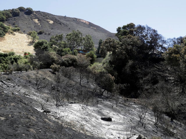 california-wildfire-ap-17193706125013.jpg 