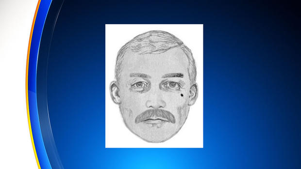 attempted child abduction suspect sketch 