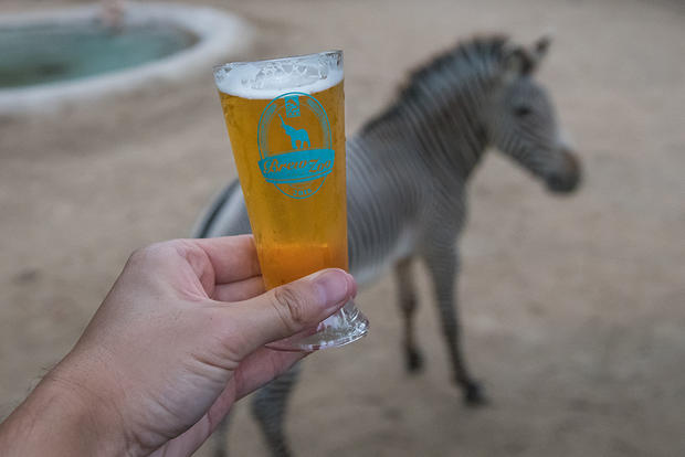 Brew at the LA Zoo - Jamie Pham - Verified Dave 