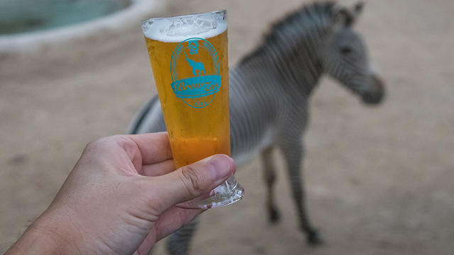 brew-at-the-la-zoo-jamie-pham.jpg 