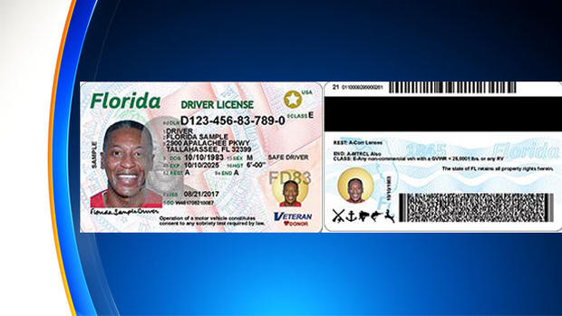 New Look Florida Driver's License 