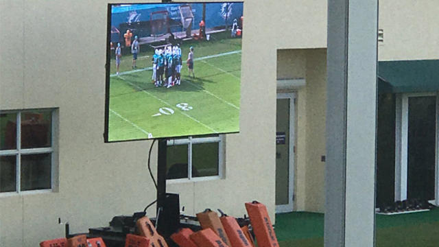 dolphins-replay-board.jpg 