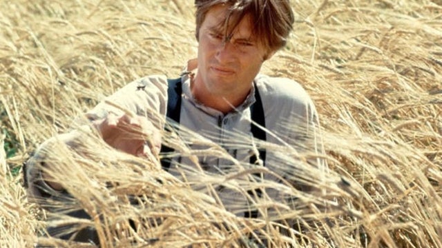 sam-shepard-days-of-heaven.jpg 