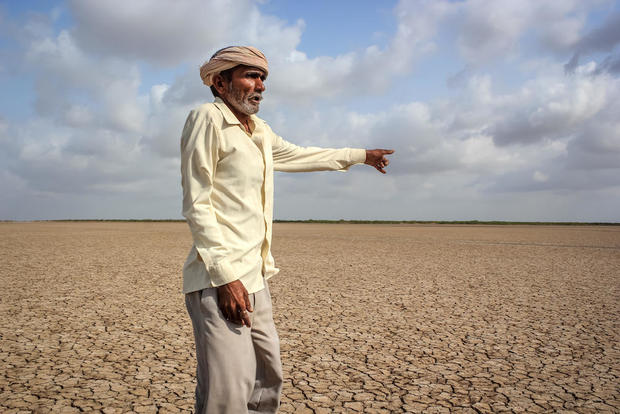 climate change crop death 