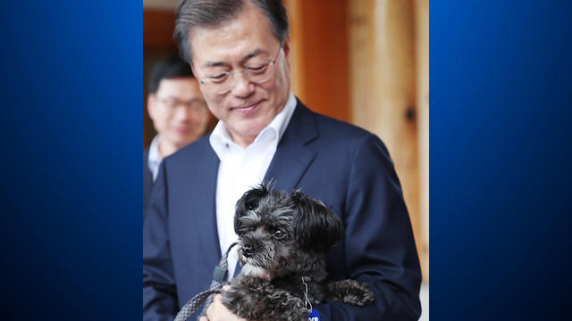 south-korea-first-dog.jpg 