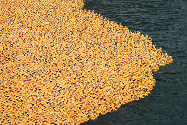 Chicago Holds Annual Rubber Duck Race In Chicago River 