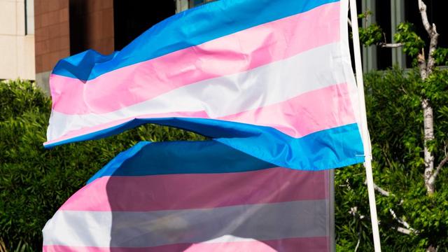 transgender_pride_flag_662116864.jpg 