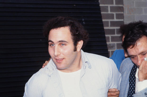 David Berkowitz in custody 