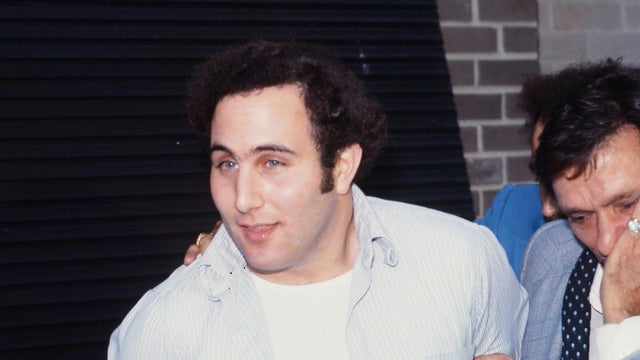 sos-david-berkowitz.jpg 