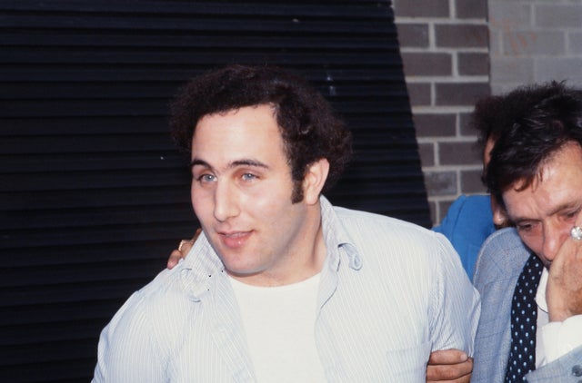 sos-david-berkowitz.jpg
