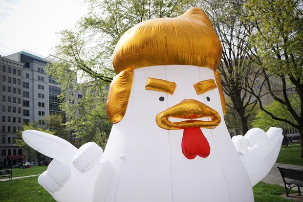 Trump Chicken 