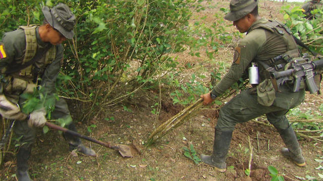 colombia-eradicating-coca-plants-promo.jpg 
