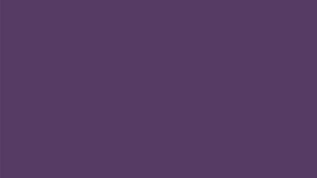 Pantone Prince Purple 