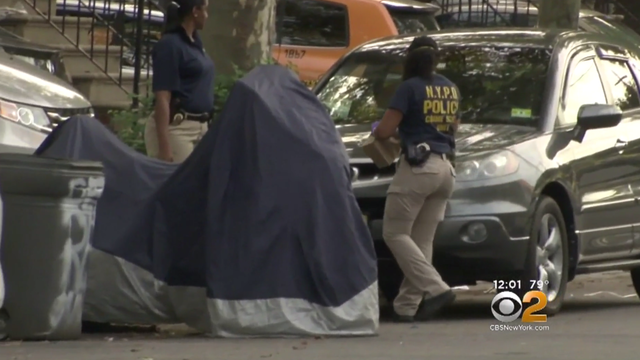 parking-spot-nypd.png 