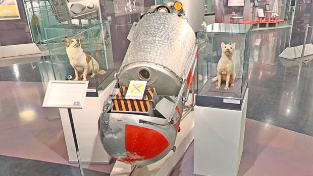 belka-strelka-museum-of-cosmonautics-moscow-google-620.jpg 