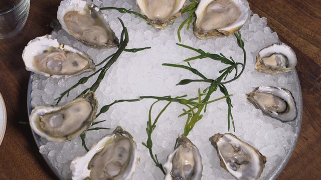 oysters-served-promo.jpg 