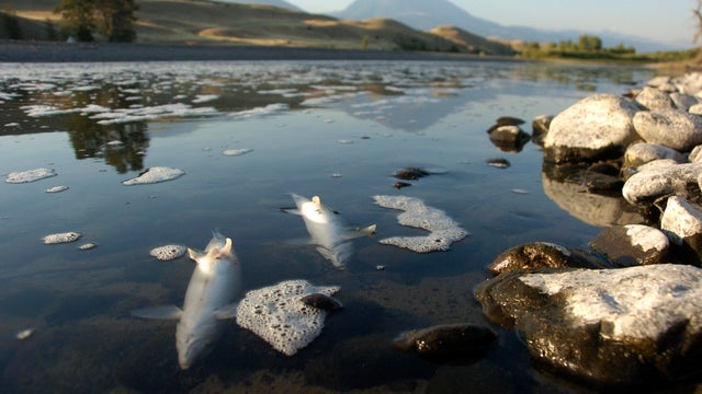 Yellowstone River Closure 