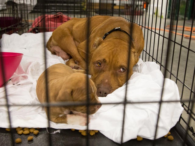 US-WEATHER-STORM-HARVEY 