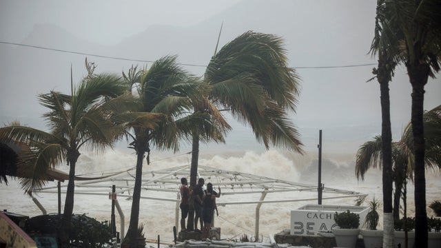 People stand next tp swaying palm trees following the passing of Tropical Storm Lidia in Los Cabos 
