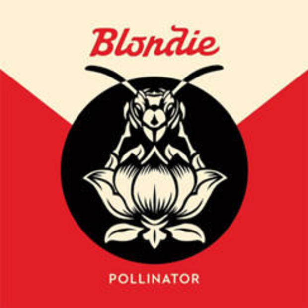 blondie-pollinator-noble-id.jpg 