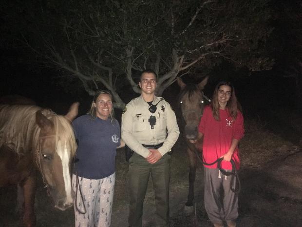 stolen horses, santa cruz county sheriff's office 