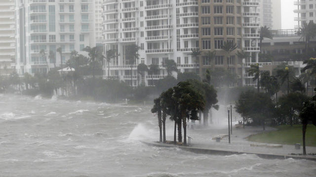 APTOPIX Hurricane Irma 