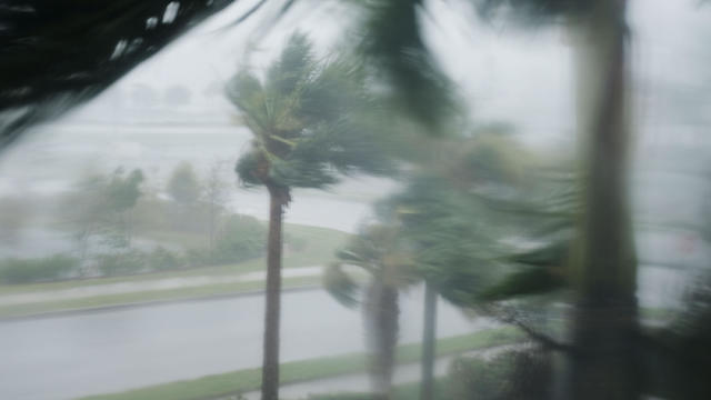 Powerful Hurricane Irma Slams Into Florida 