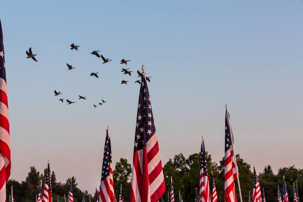 ducks-fly-over-the-memorial.jpg 