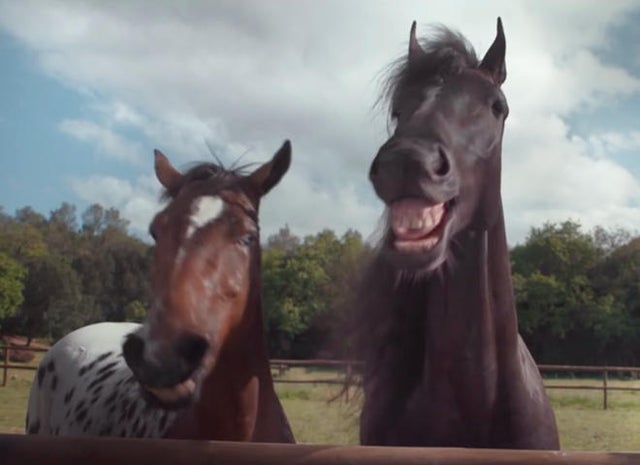 The world's best TV commercials 2017 