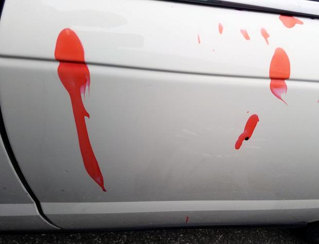Zimmerman Paintball Gun Vandalism 