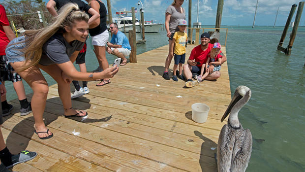 Florida Keys Tourists Fishing 