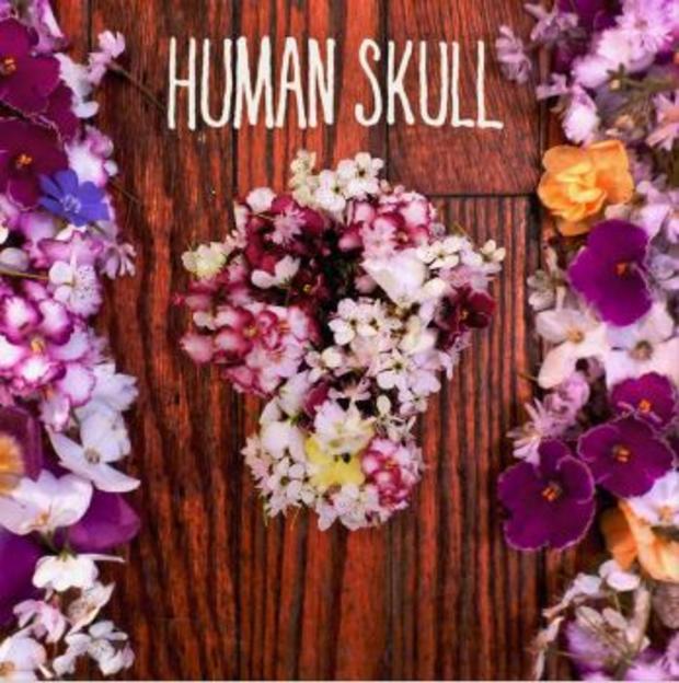 Human Skull 
