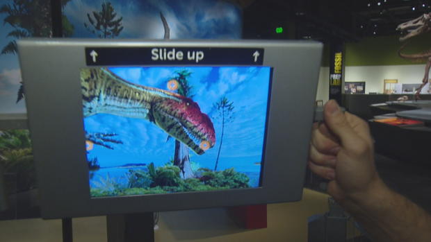ultimate dinosaurs denver museum 