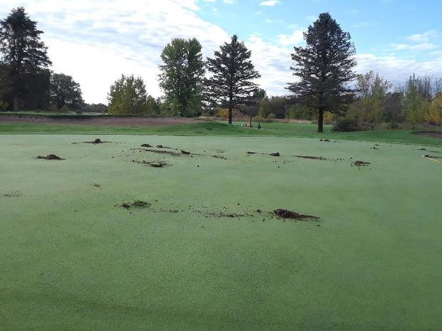 Princeton Golf Course Vandalism 
